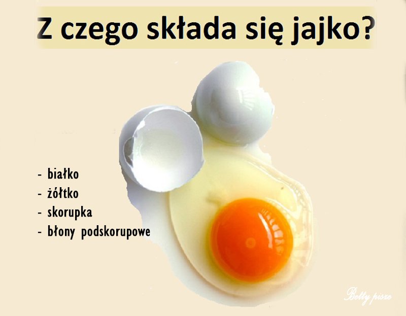 jajko